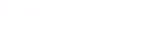 radiatori2000